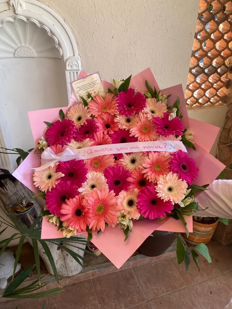 30 gerberas con listón