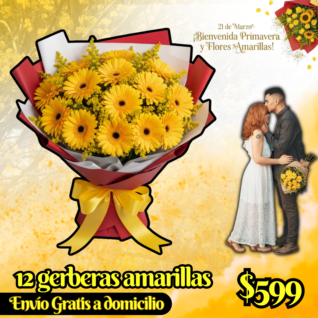 12 gerberas amarillas
