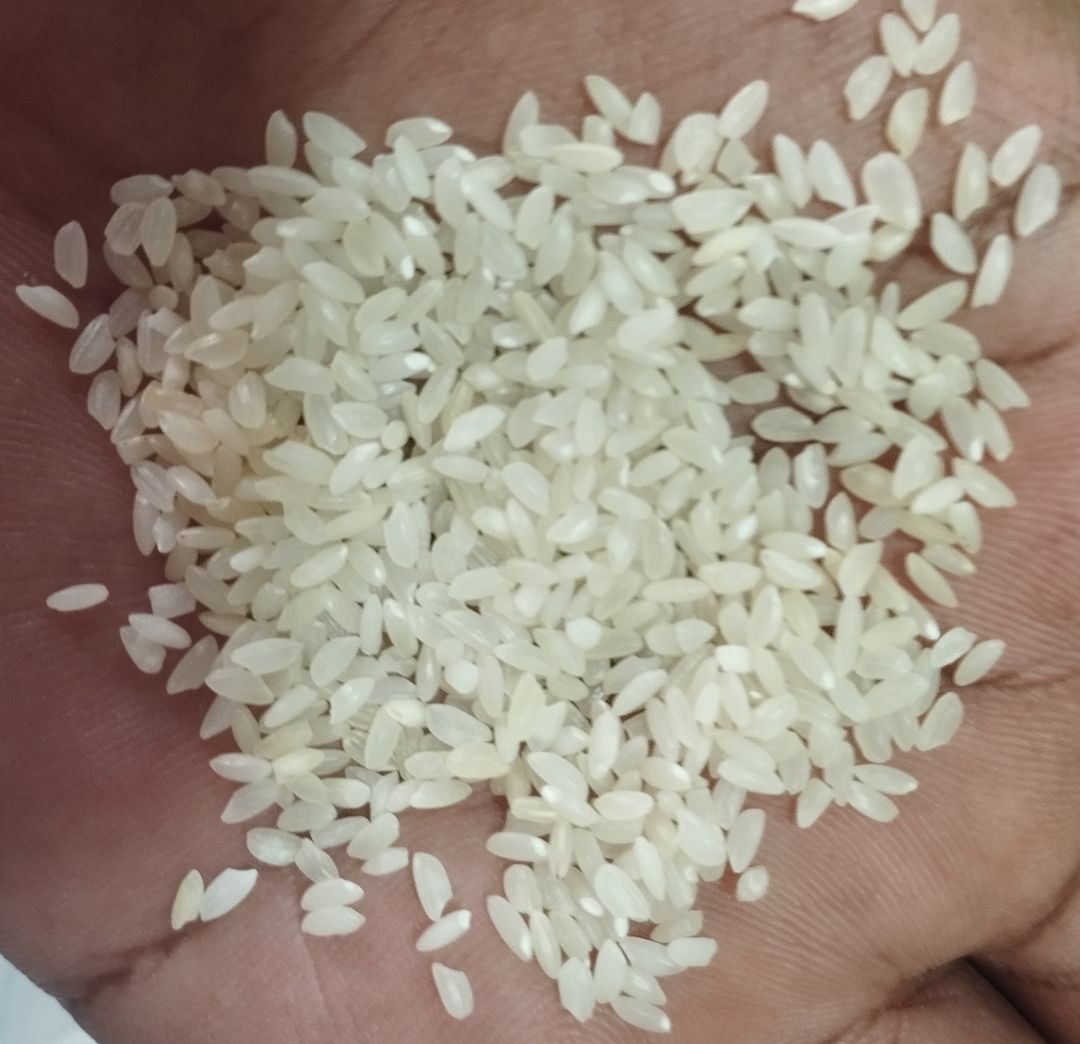  CHITTI MUTHAYALU RICE 1 KG 