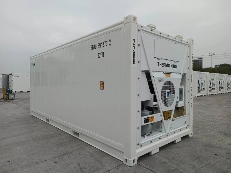 Contenedor frigorífico de 20 pies nuevo