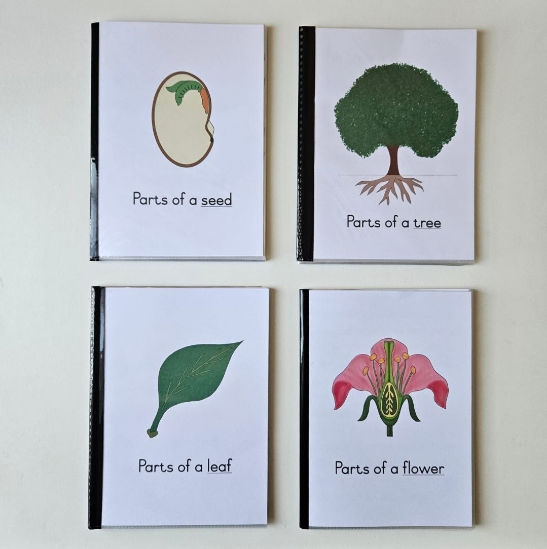 Parts of a seed definition booklet 