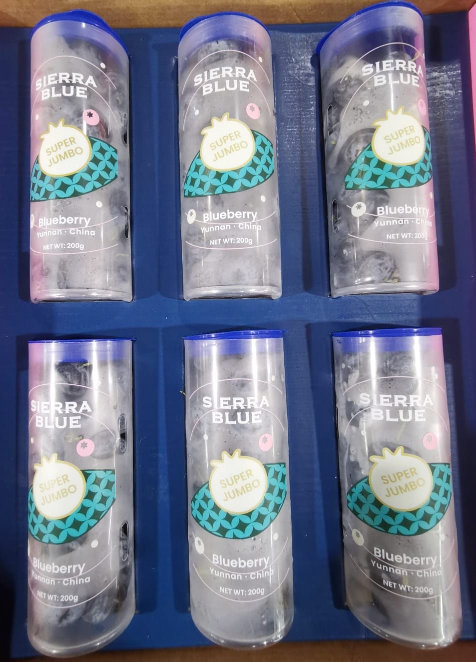 Yunnan Super Jumbo Blueberry