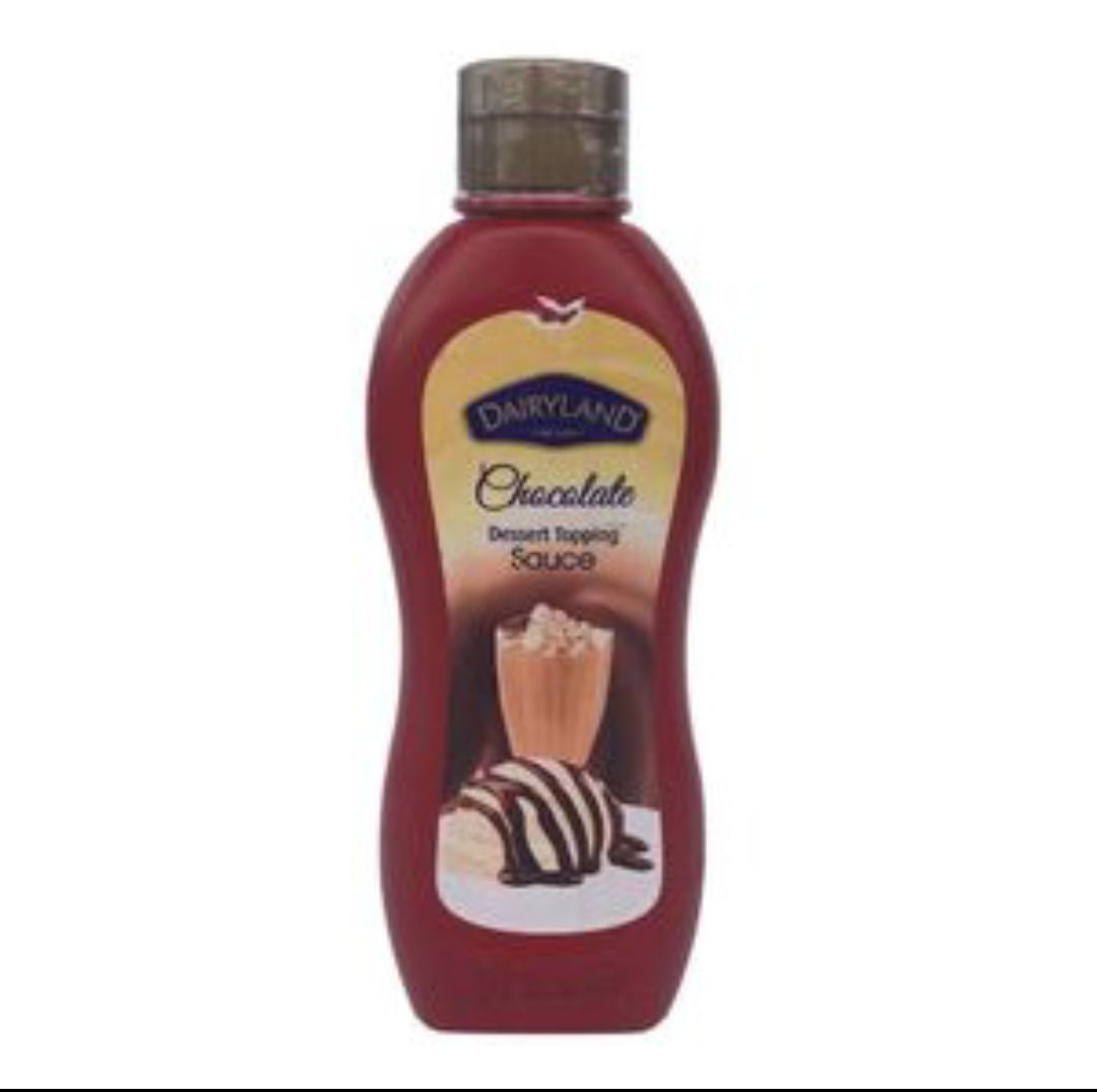 Dairyland chocolate dessert topping sauce 650g