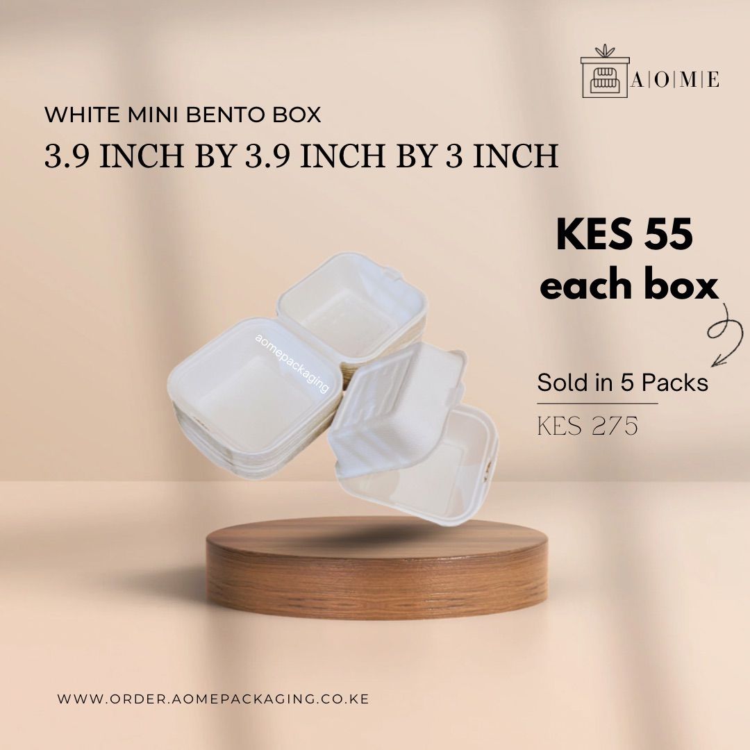 Mini White Bento Cake Boxes - 5 Pack 