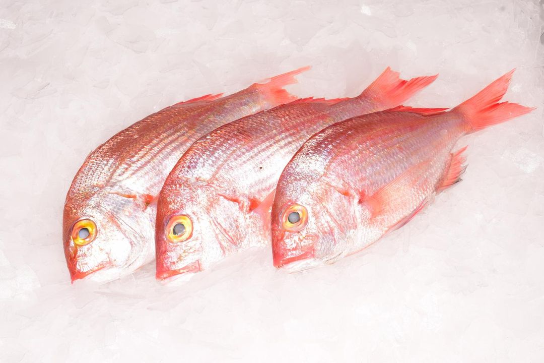 Poisson Mabundu 1 Kg 