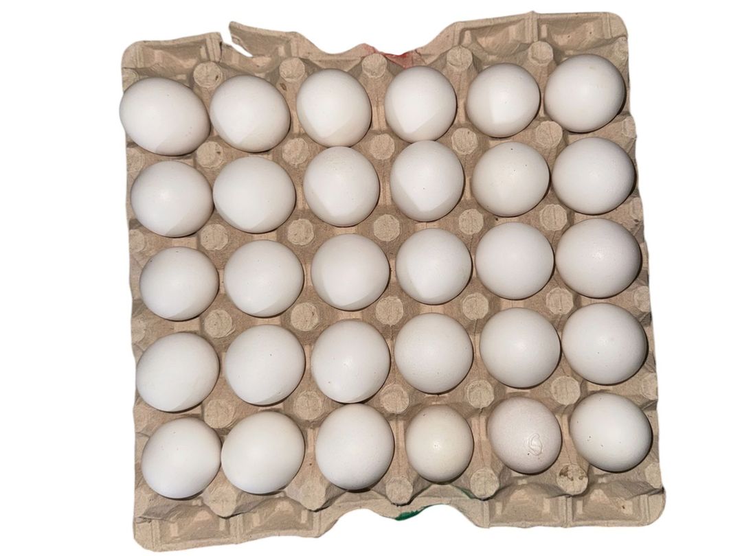 AKL FARM WHITE EGGS UNPACKAGED 30PCS X12 - 20224