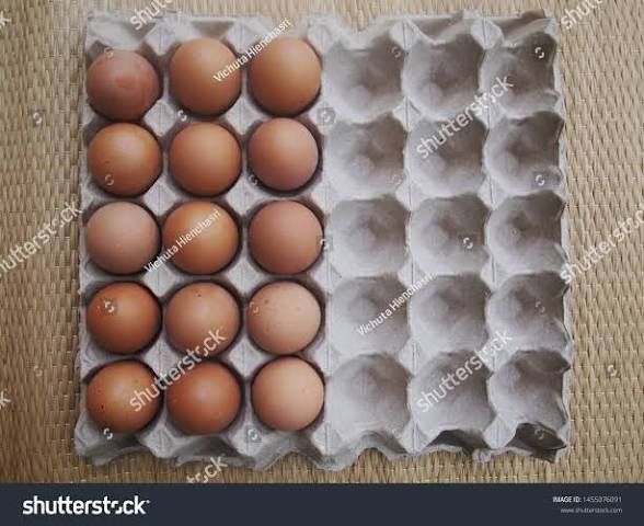 Eggs half tray