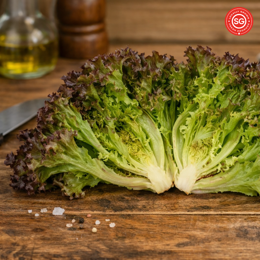 Red Lalique Lettuce (120g)