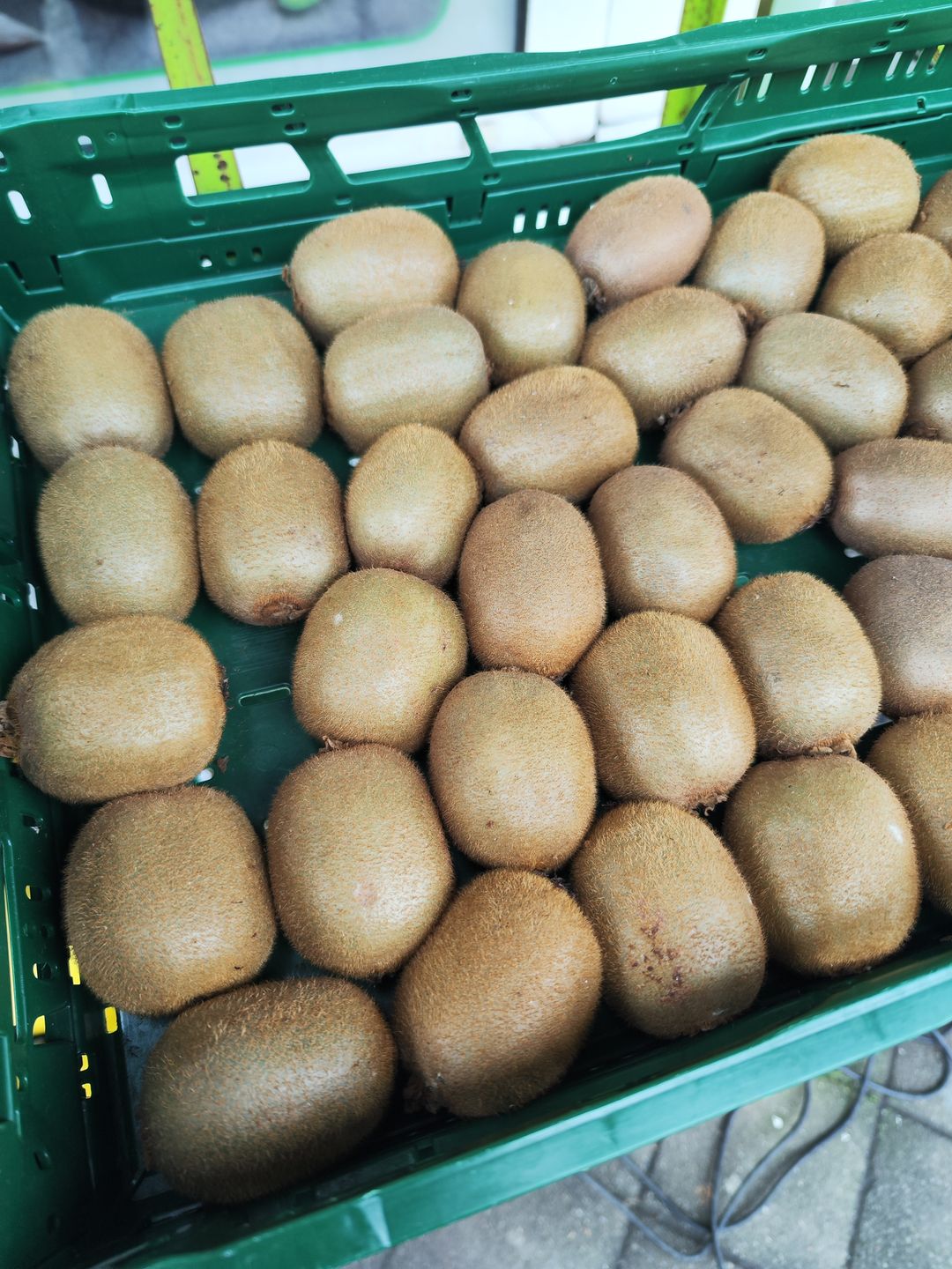 كيوي  | Kiwi  | 1St