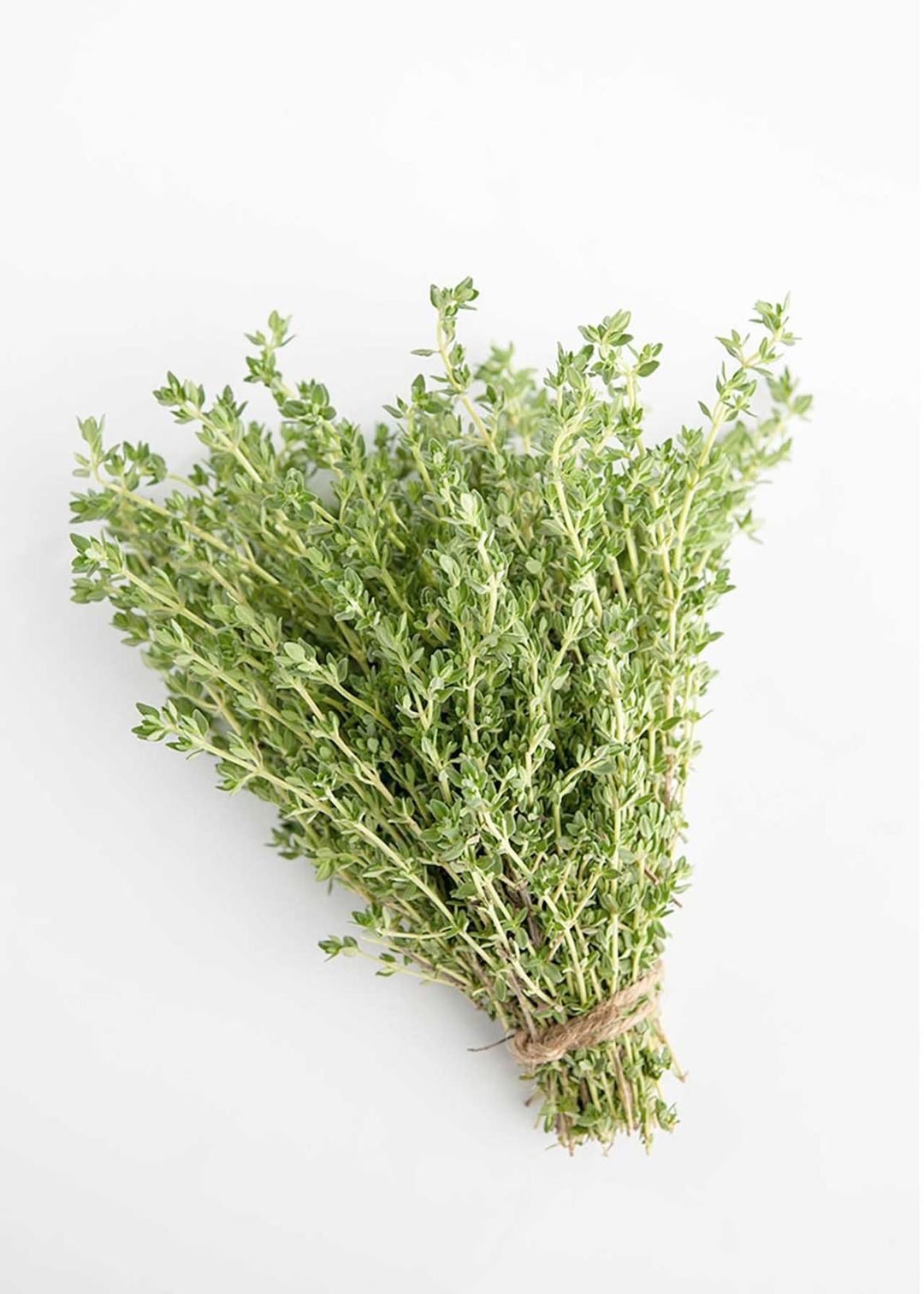 Fresh Thyme
