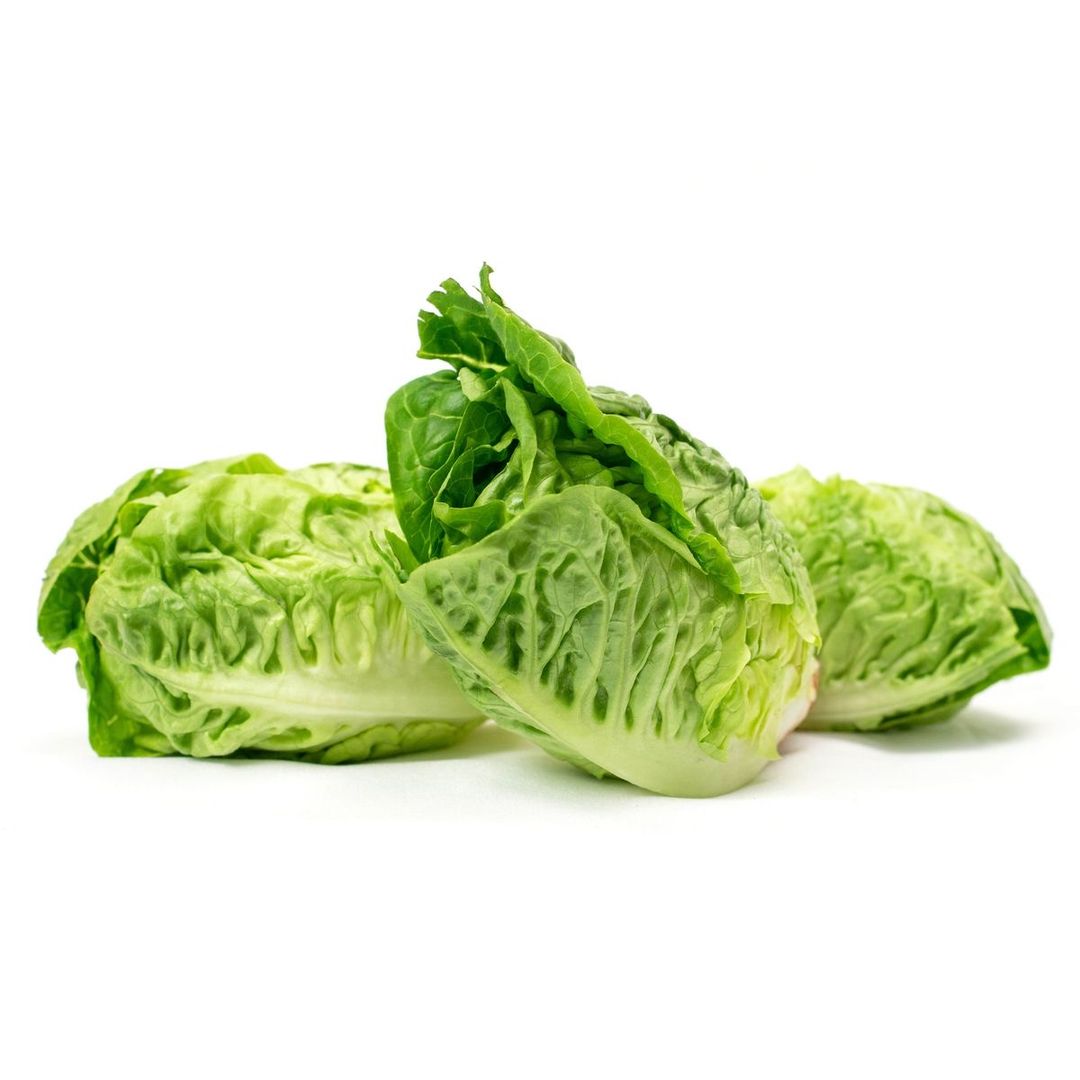 Lettuce Little Gems 