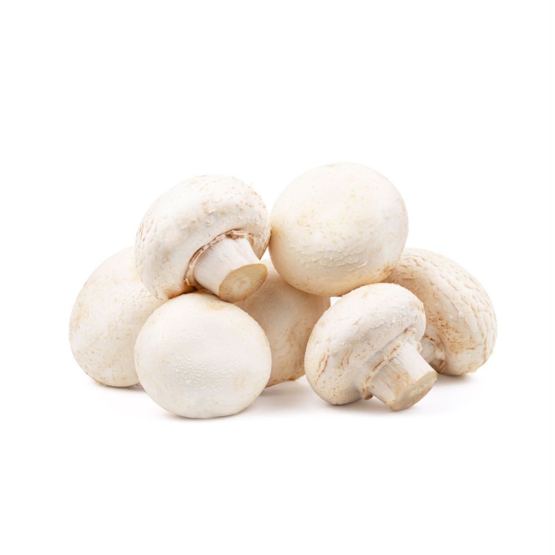 White Mushroom 
