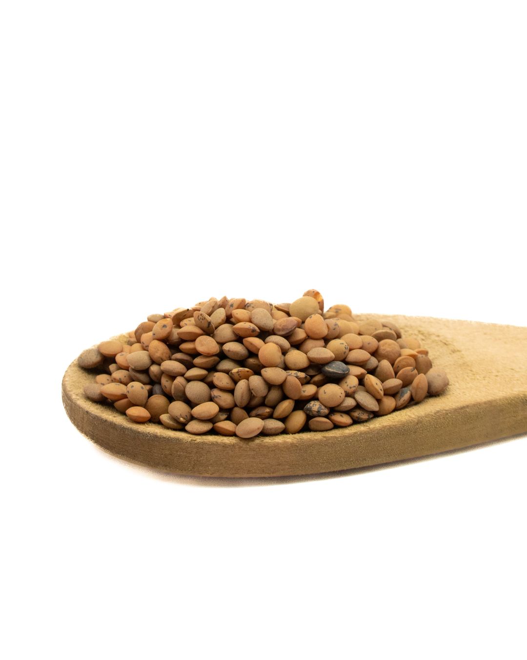 حبوب العدس البني الكندي (1 كجم) / Brown Lentil Seeds Canada (1kg)