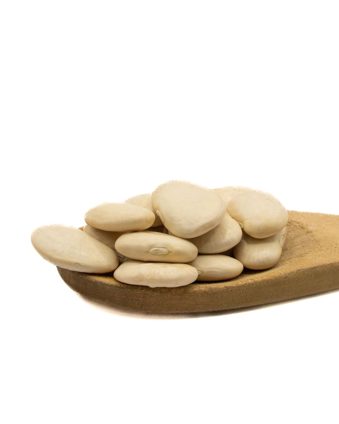 فاصوليا بيضاء برّية (1 كجم) / Wild White Beans (1kg)