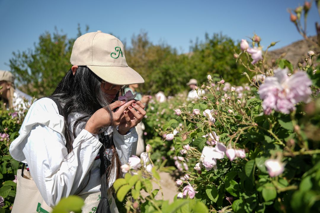 Rose Experience - Shared 