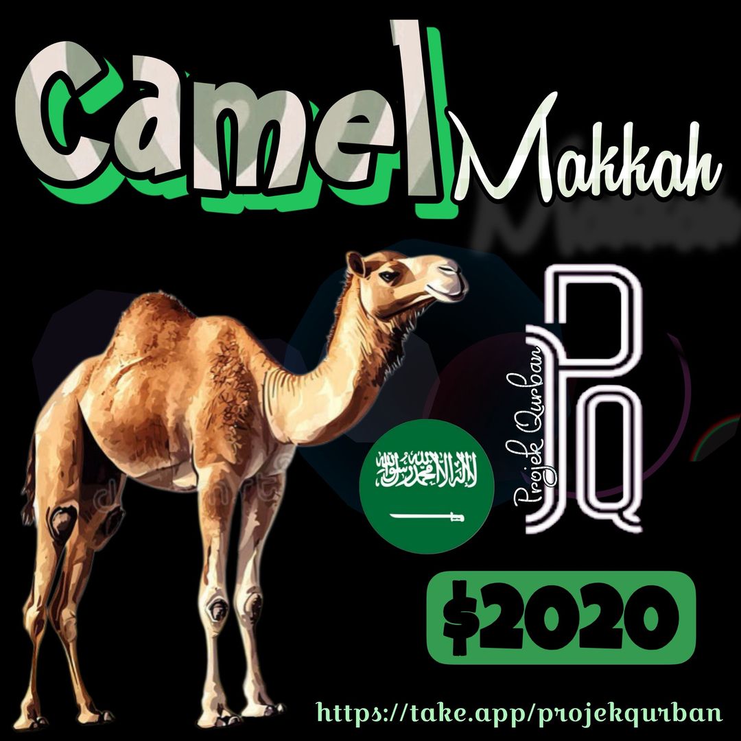 Camel - Makkah