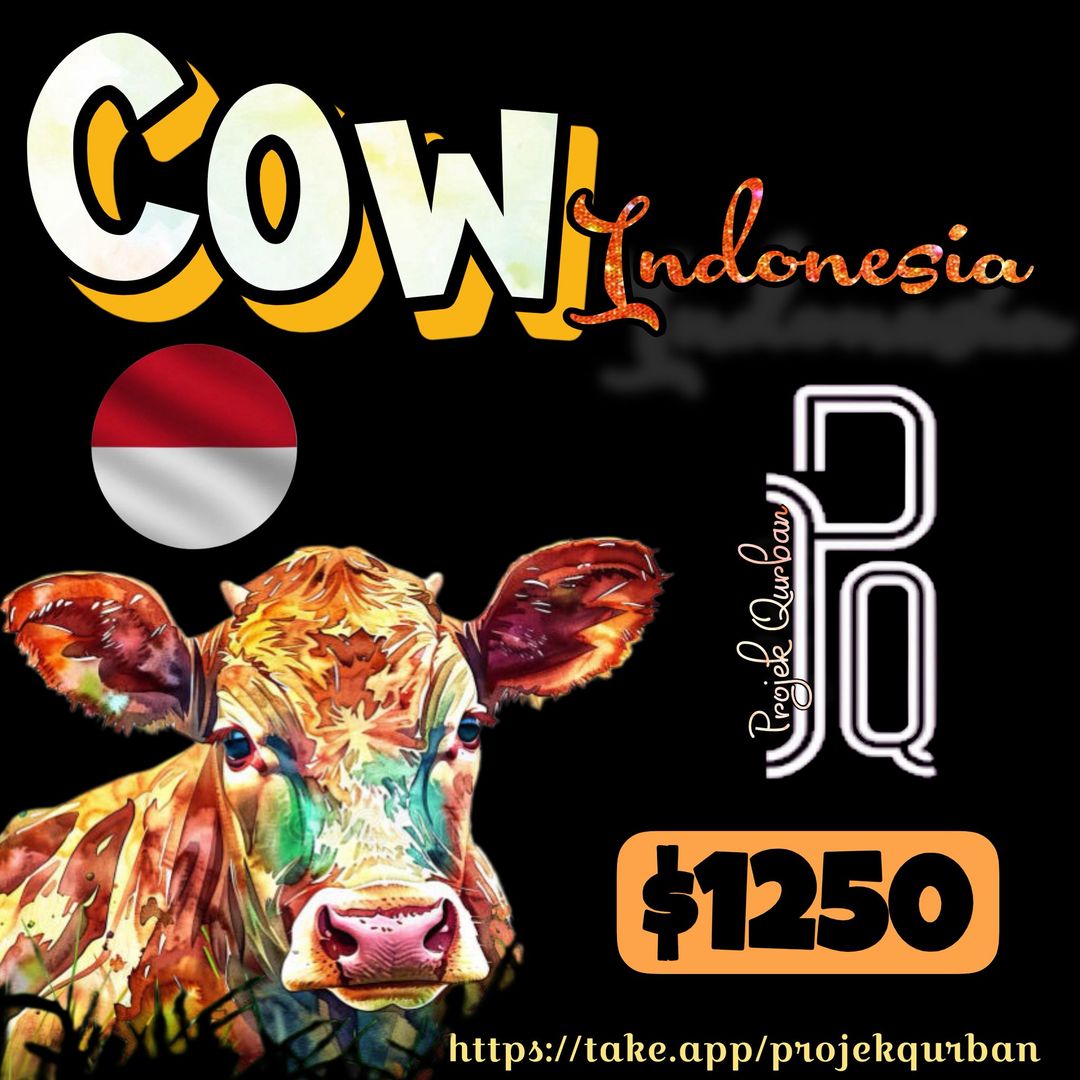 Cow - Indonesia