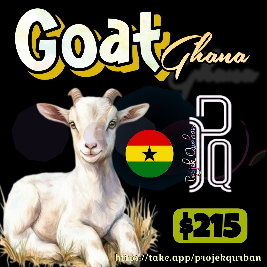 Goat - Ghana