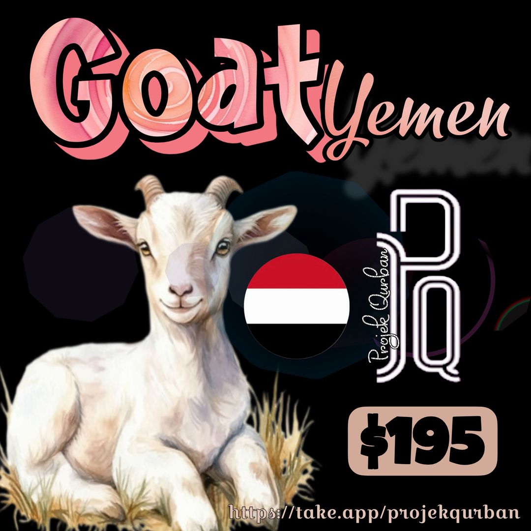 Goat - Yemen