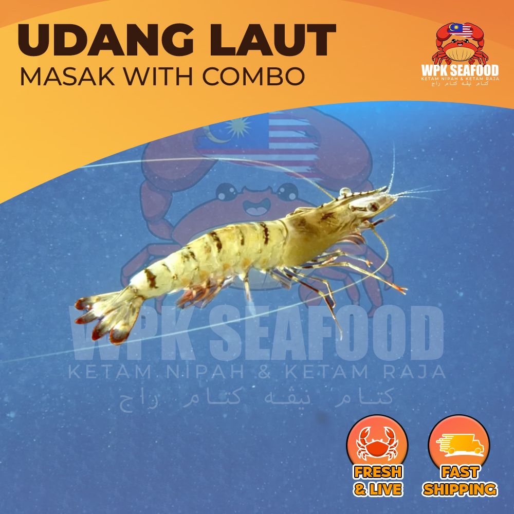Udang (1pcs)