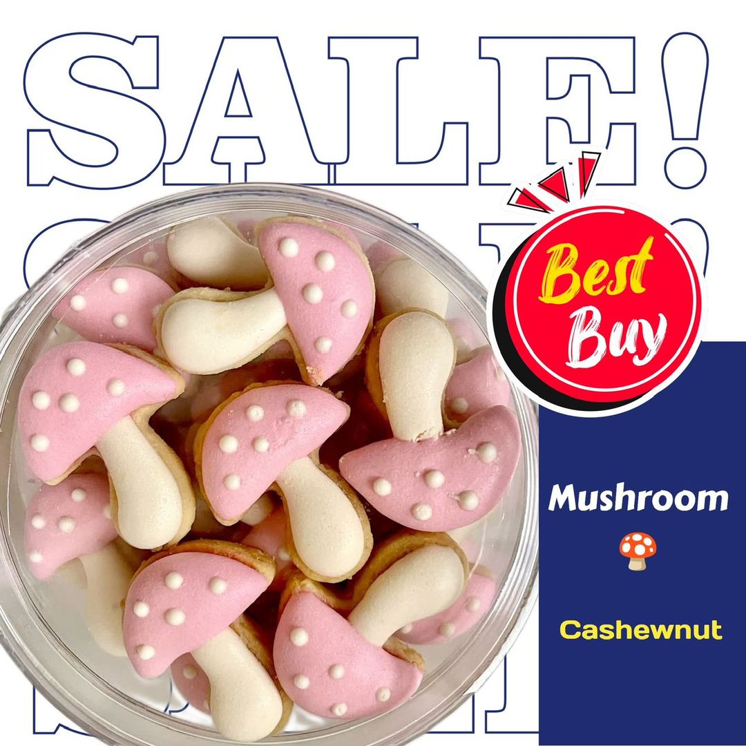 Mushroom (Cashewnut)