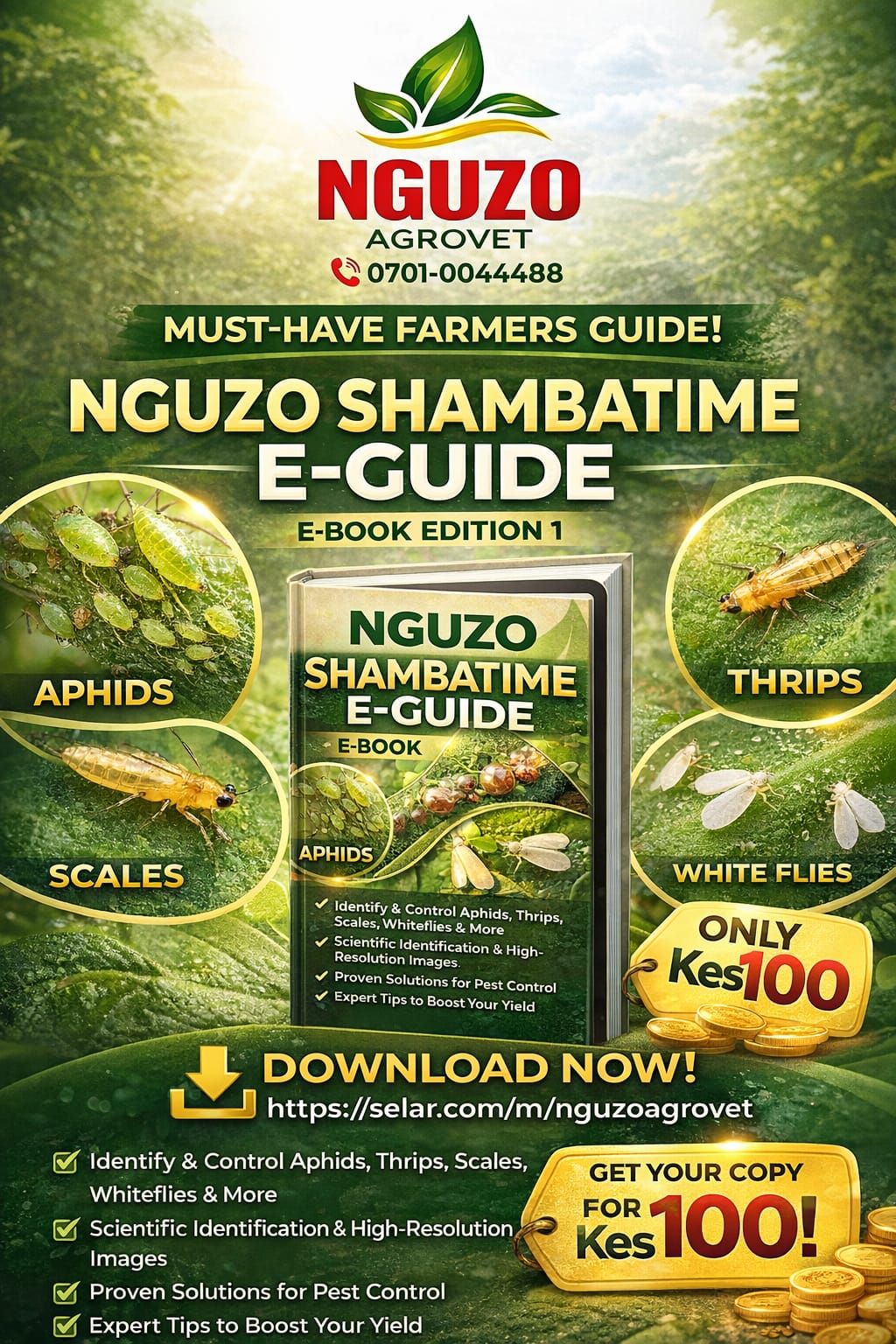 NGUZO SHAMBATIME E-BOOK 