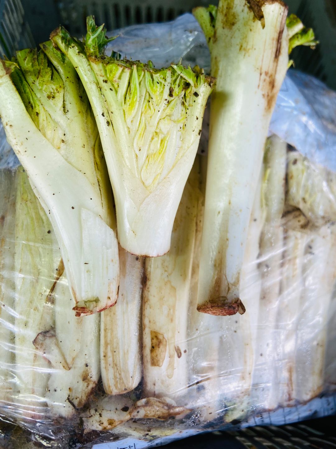 كعوب مستورد 