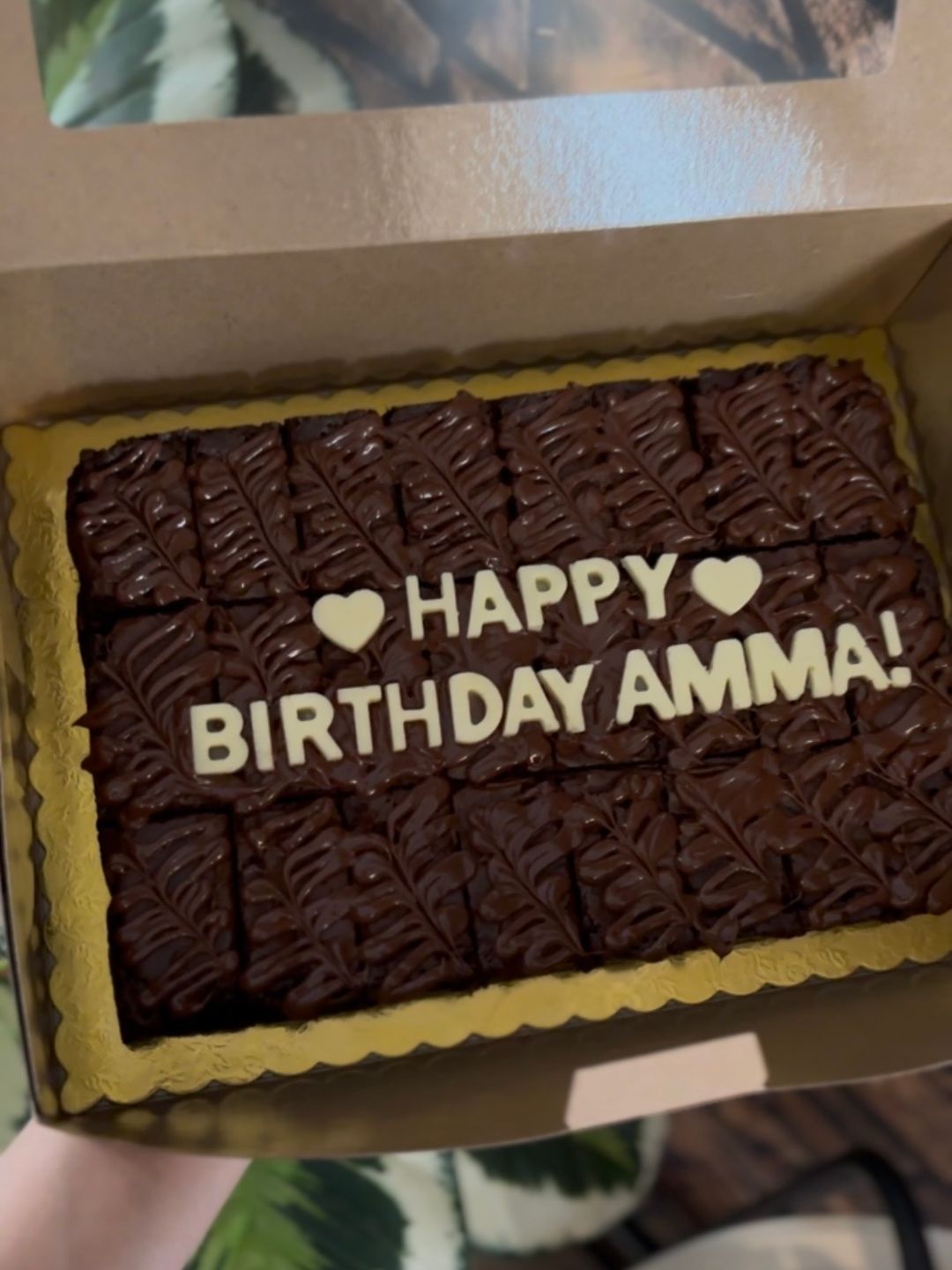 Medium Brownie (9' x 6' inch) 