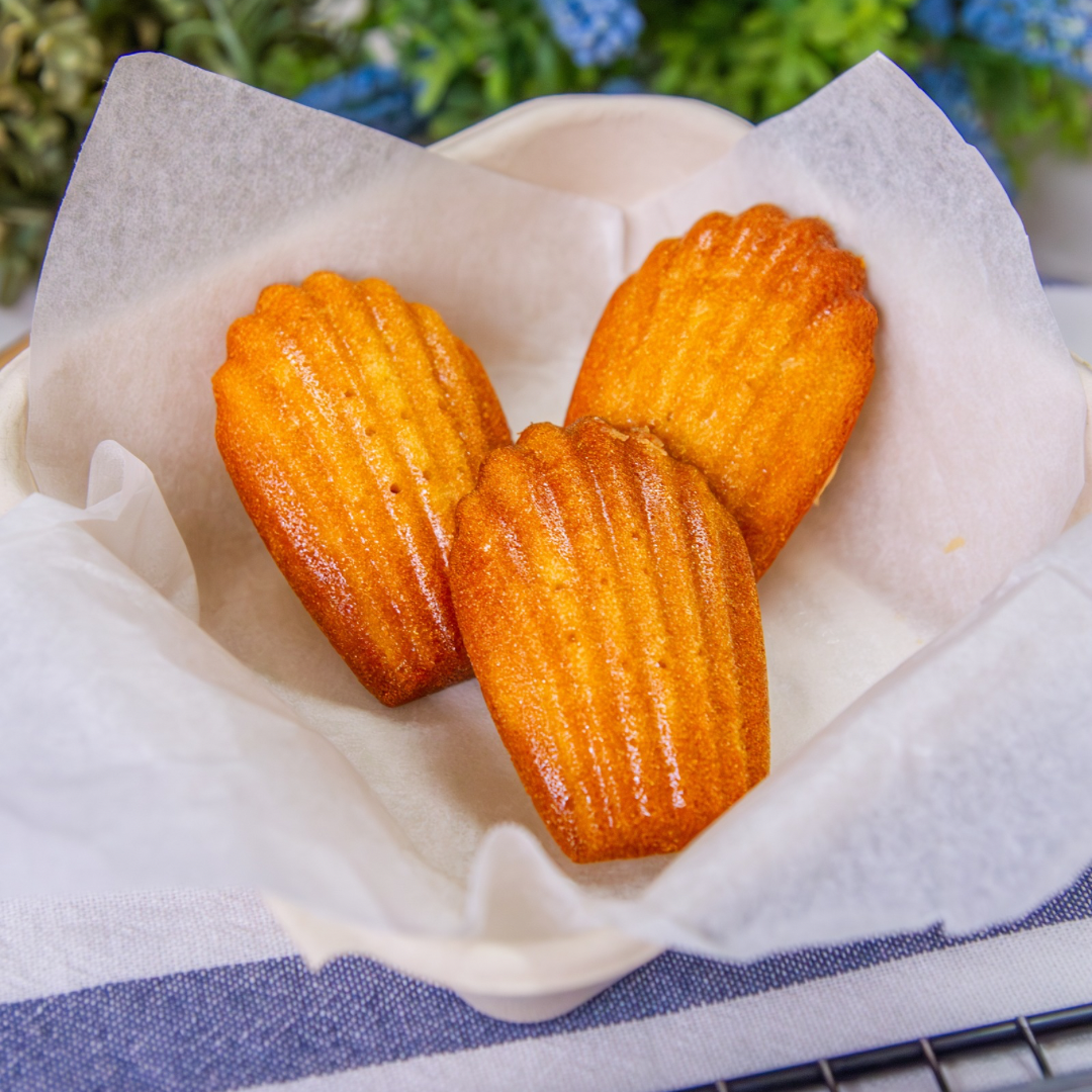 Vanilla Madeleines