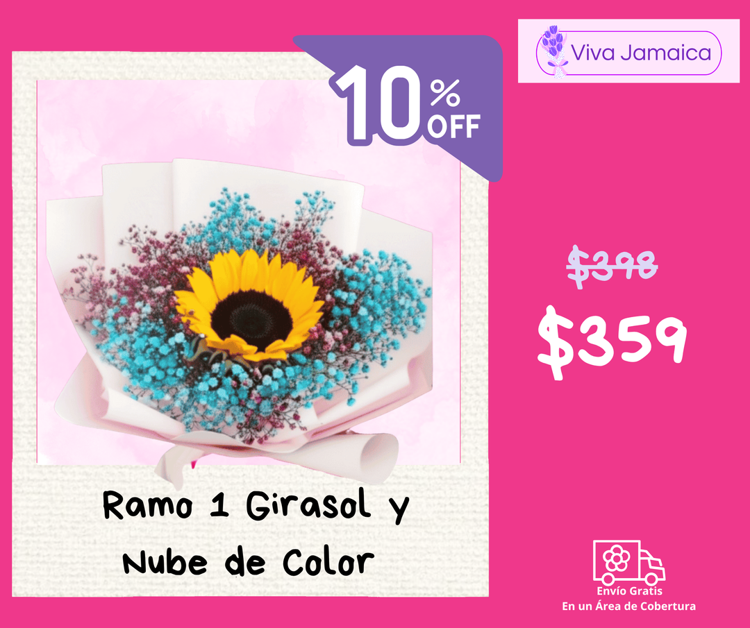 Un Girasol y Nube de Color