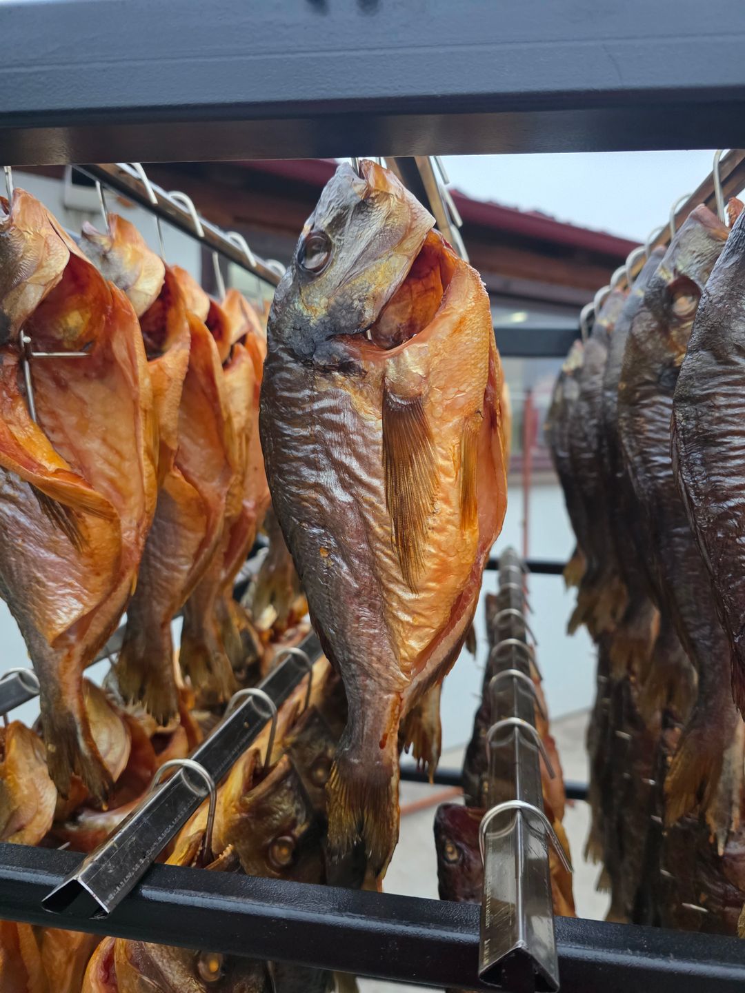 Dorada Afumată - 130 lei / Kg