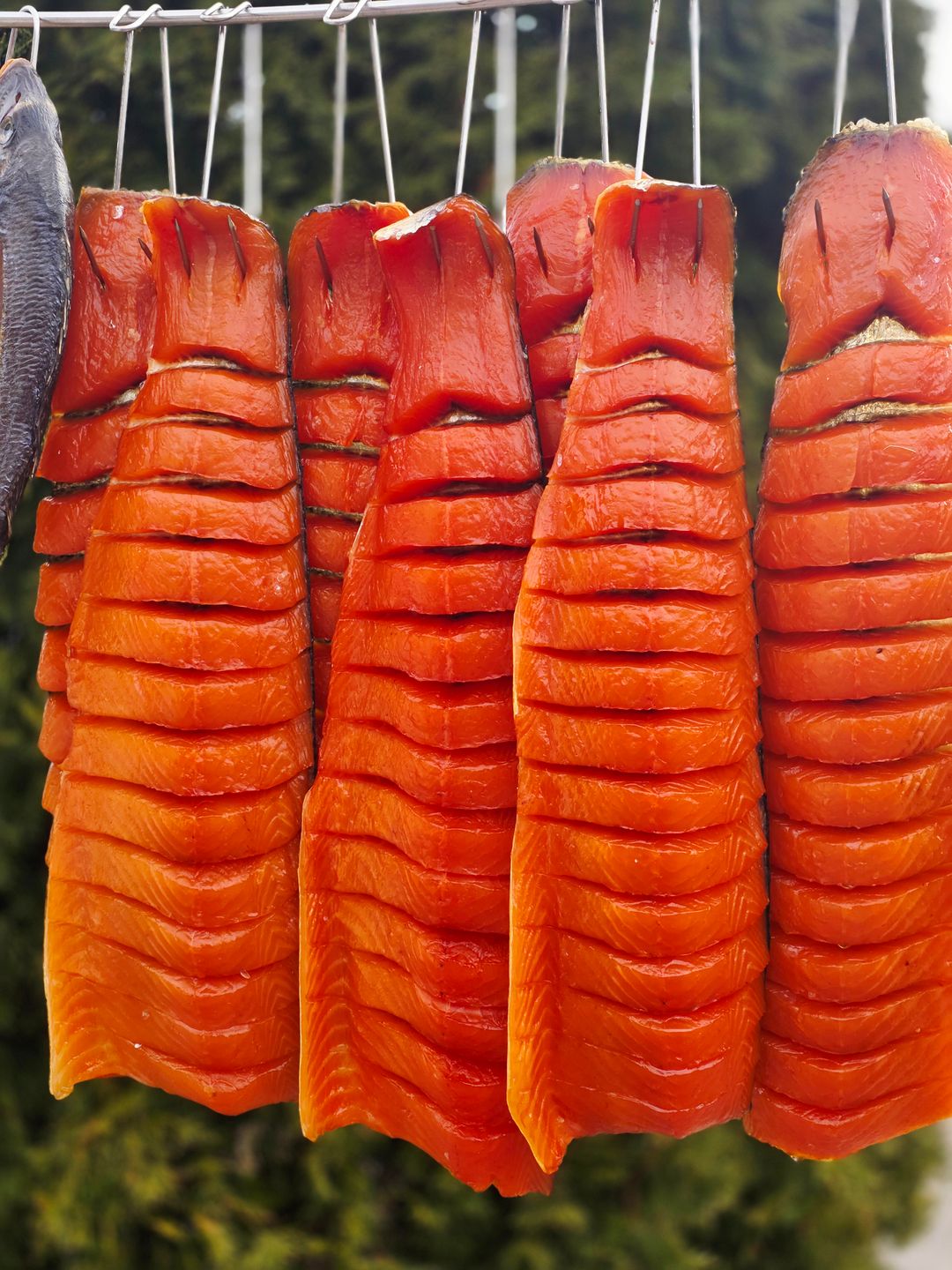 Specialitate Somon Yukola