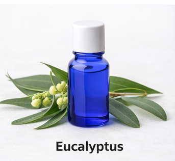 Eucalyptus essential oil
