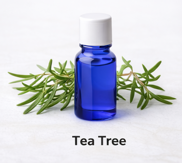 Tea tree essential oil