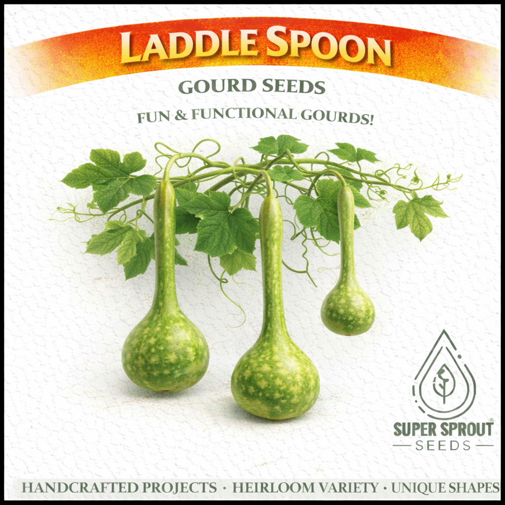 LADLE/SPOON GOURD  x 5 seeds 