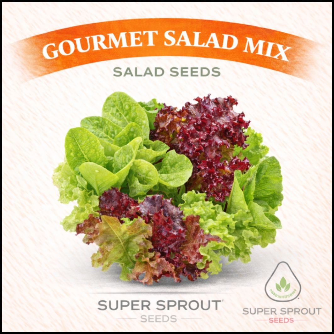 Gourmet lettuce mix x 100+ seeds 