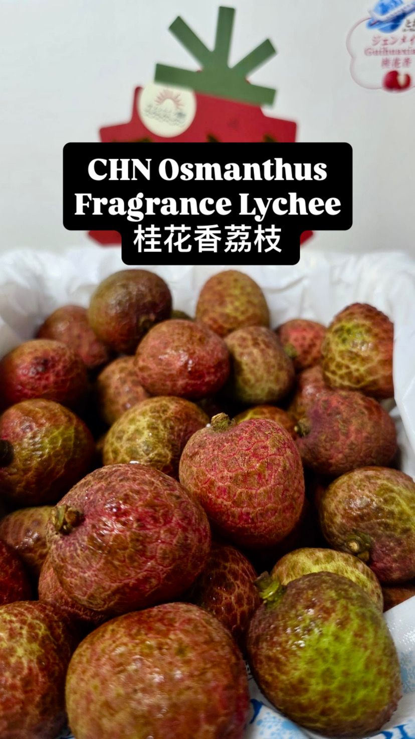 CHN OSMANTHUS LYCHEE 桂花香荔枝