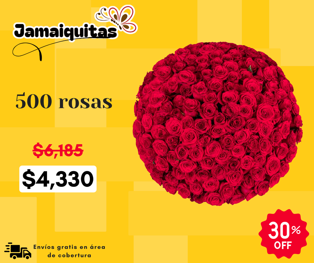 500 rosas