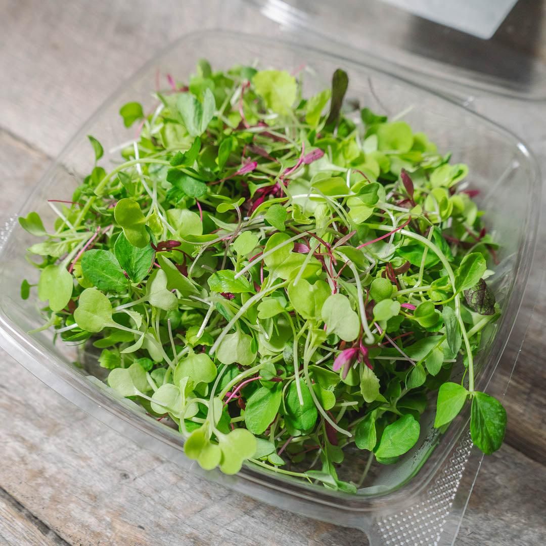 Microgreens 