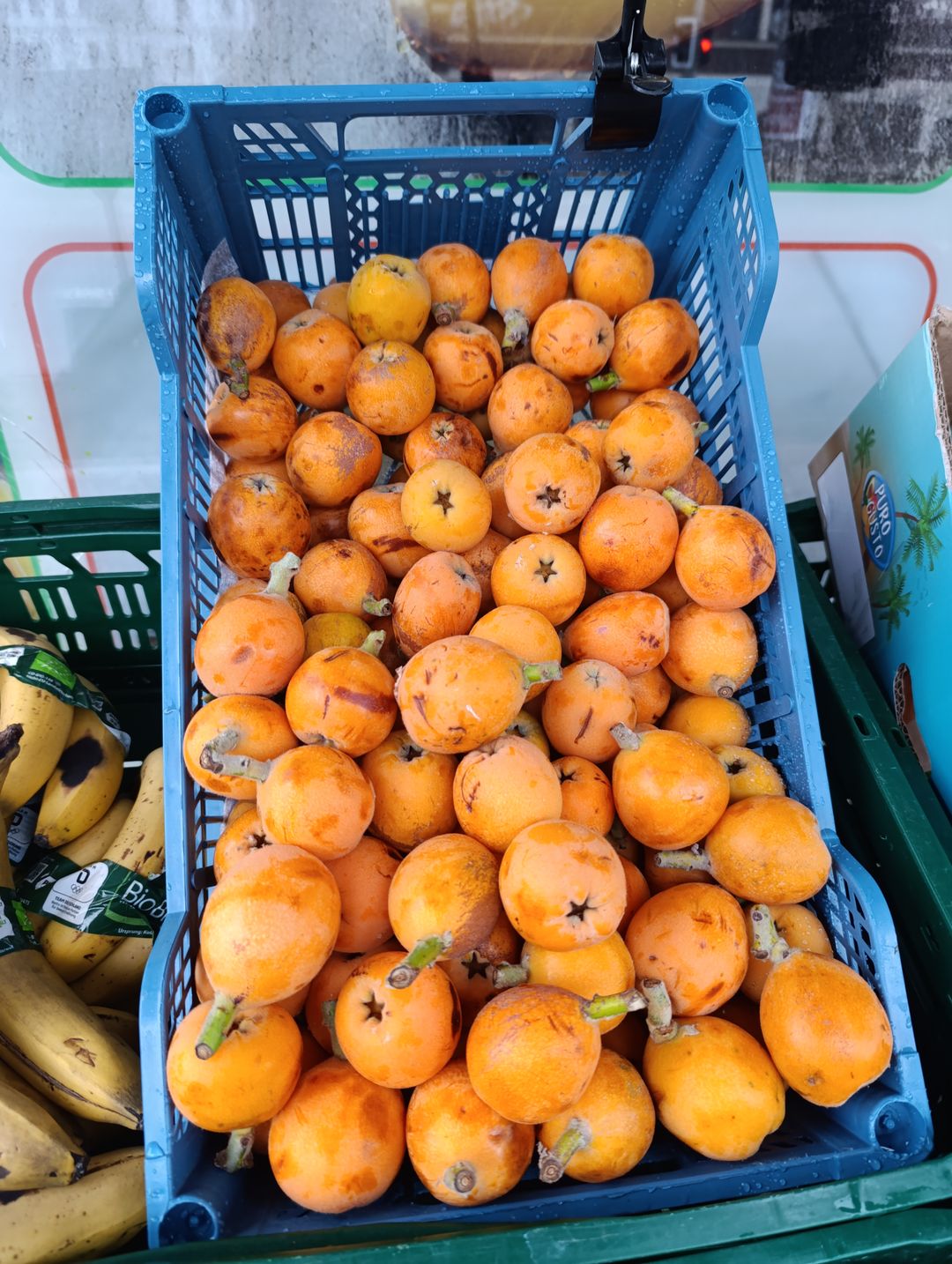 اكي دنيا | Mispelen | 1Kg 