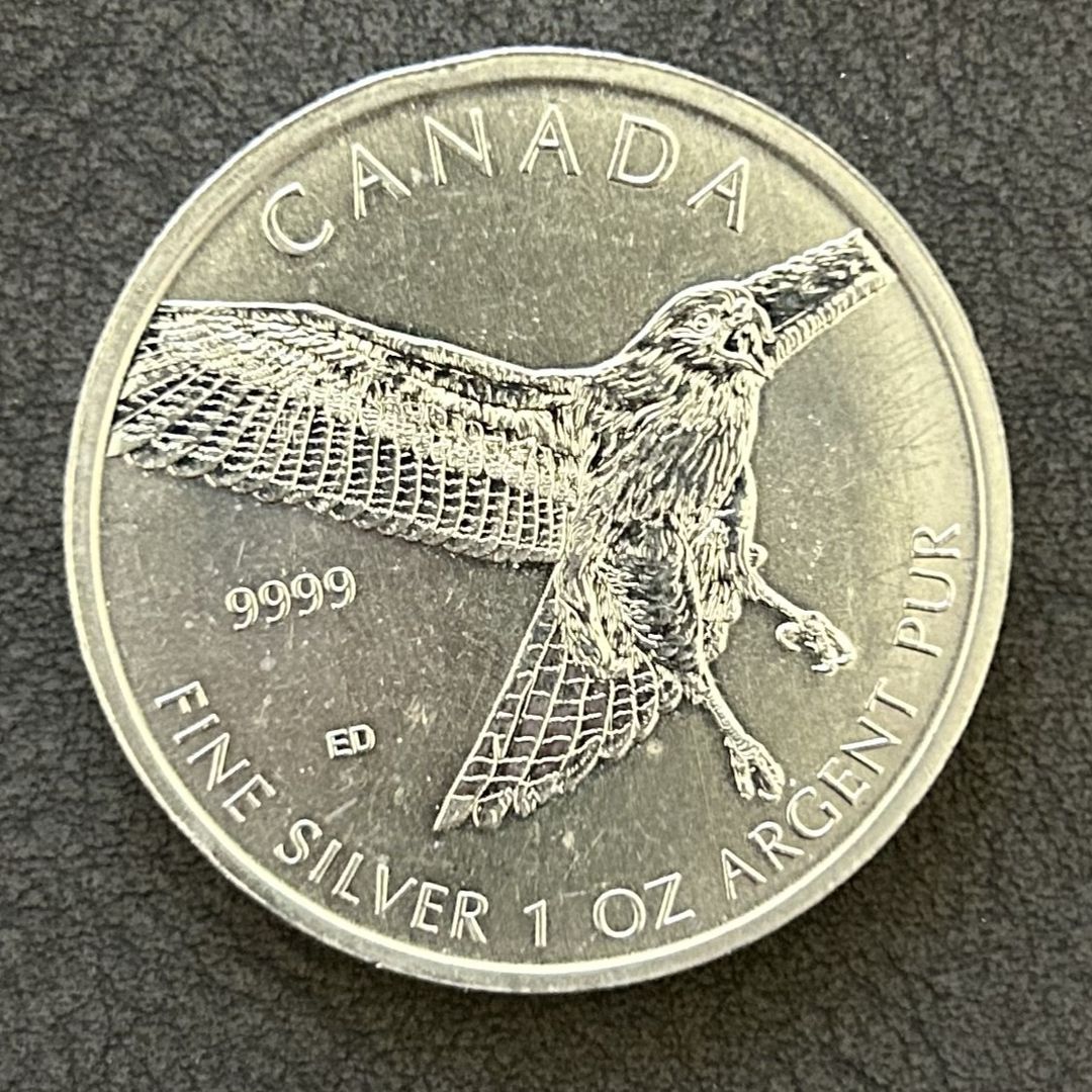 Red-Tailed Hawk 2015 – 1oz .9999 Silver Coin | Canada Birds of Prey
