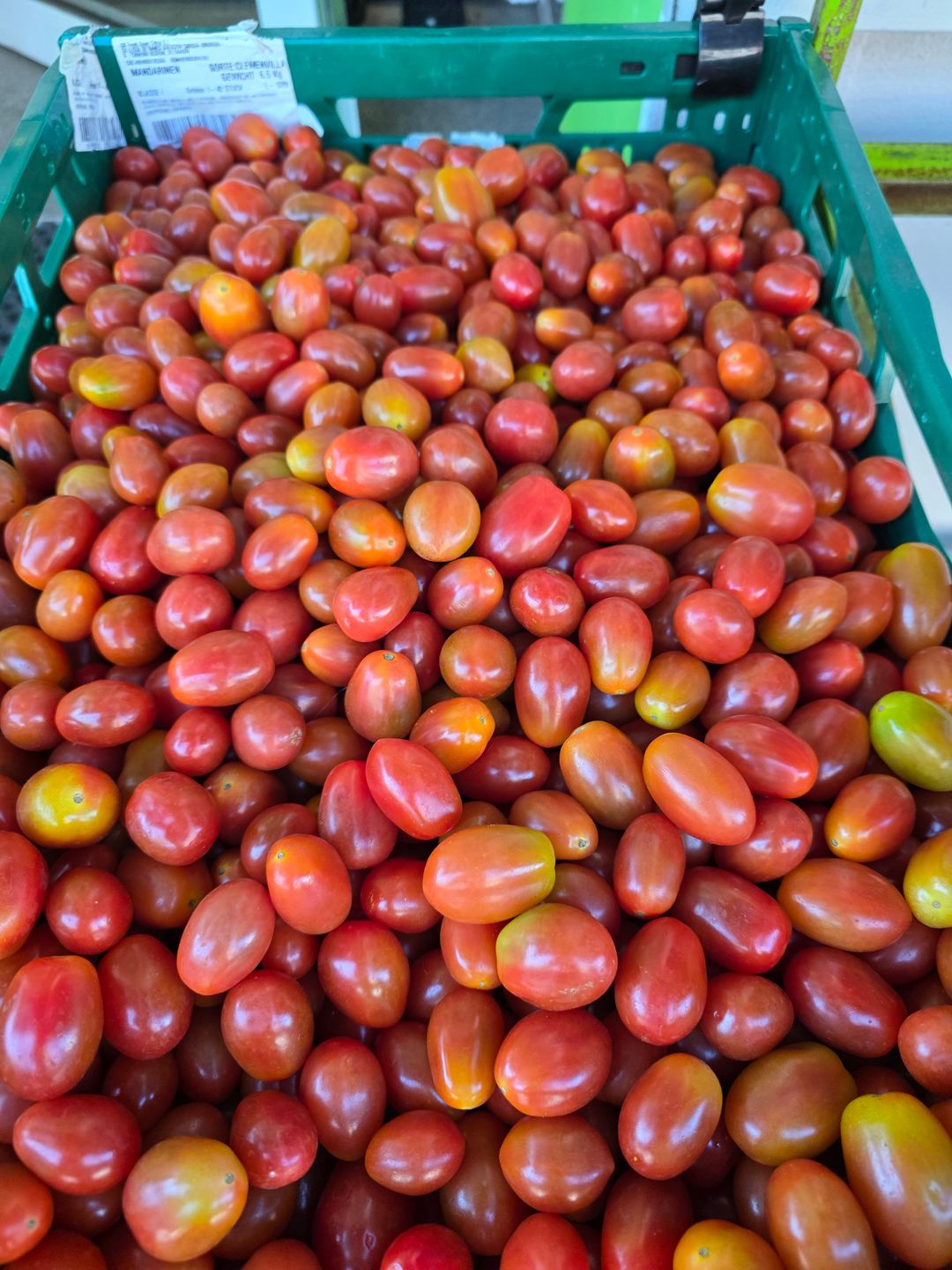 بندورة كرزية | Cherrytomaten 