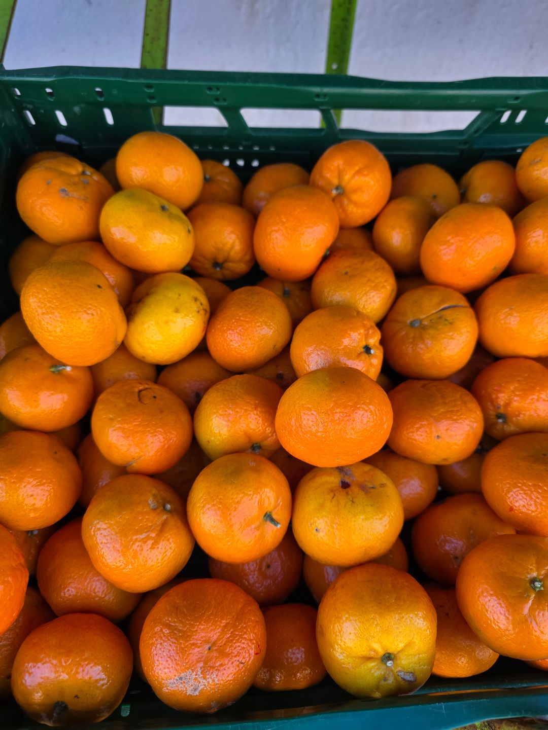 كرمنتينا | Clementine