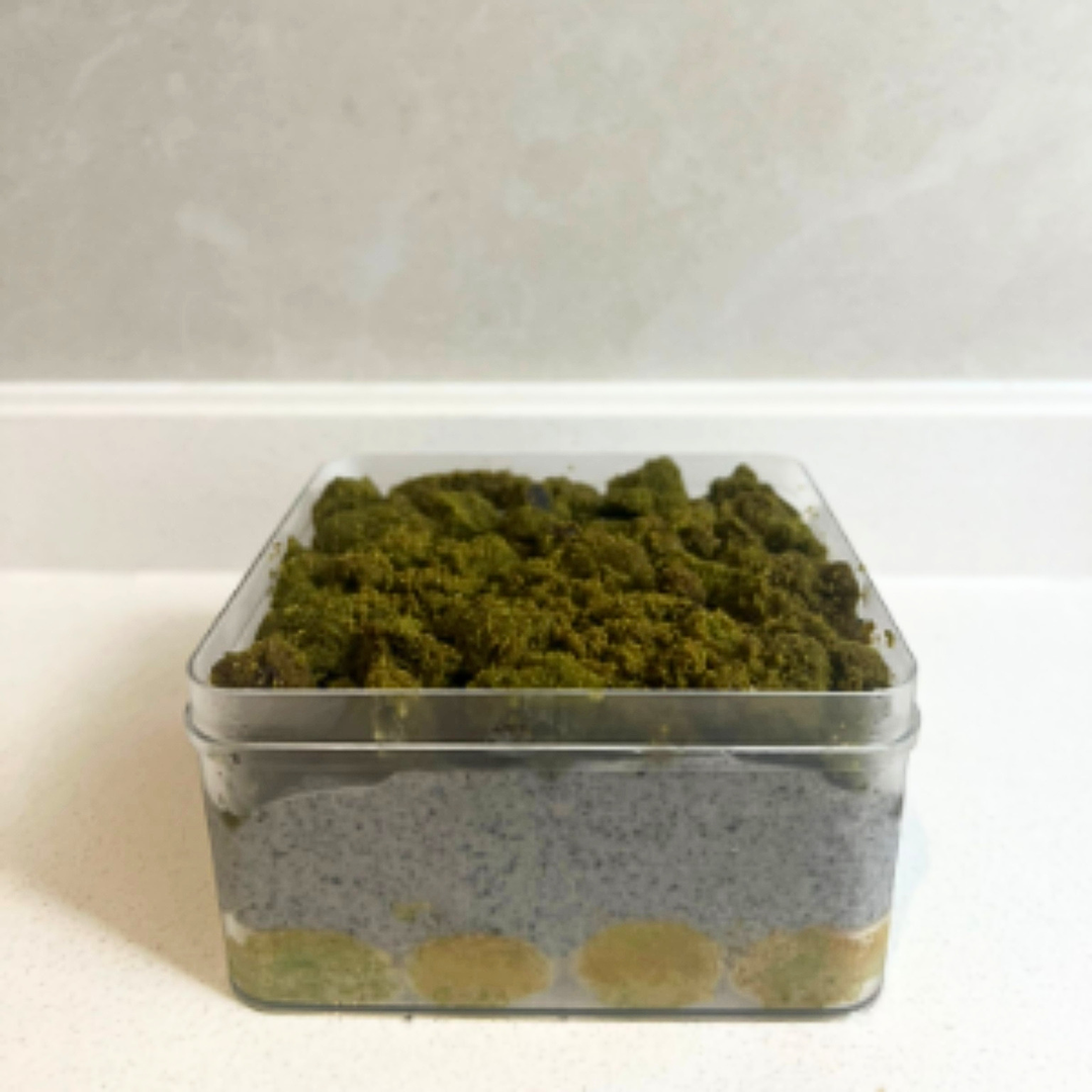 Matcha-Goma-Misu w Matcha crumble 