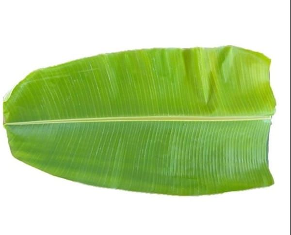 Banana leaf