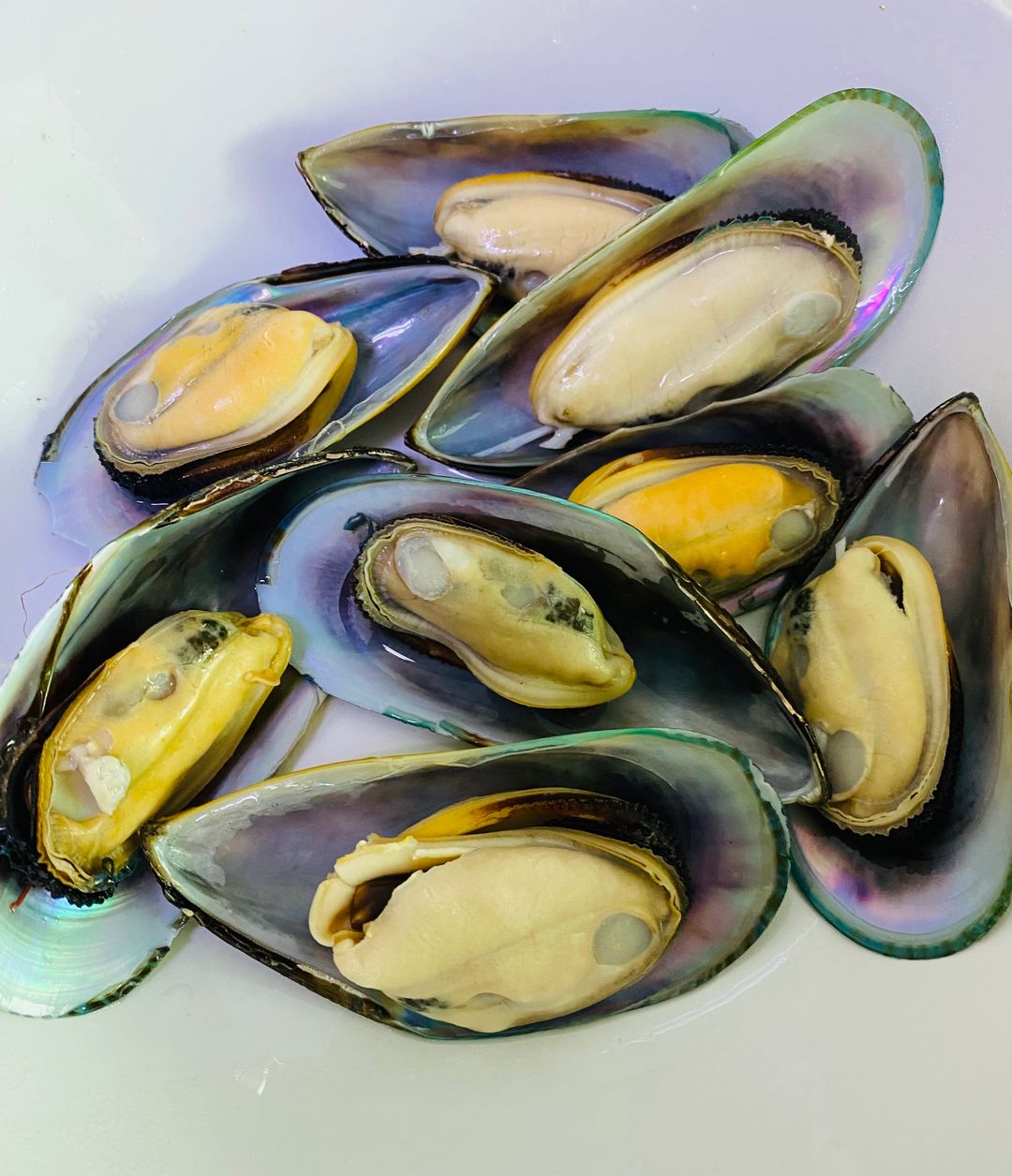 Mussels