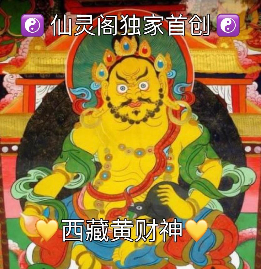 💛西藏黄财神💛