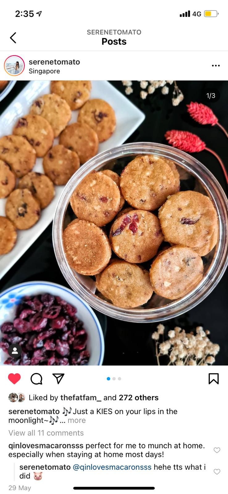 Cookie with almond nuts and cranberry - container (200gm)