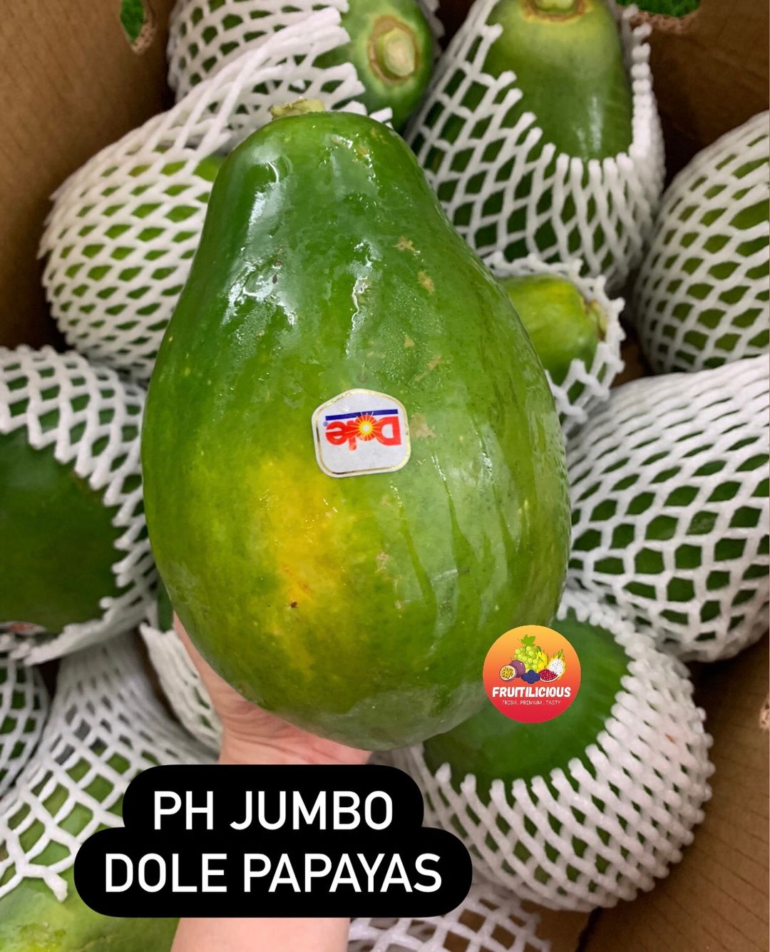 PHILIPPINES DOLE PAPAYA XL