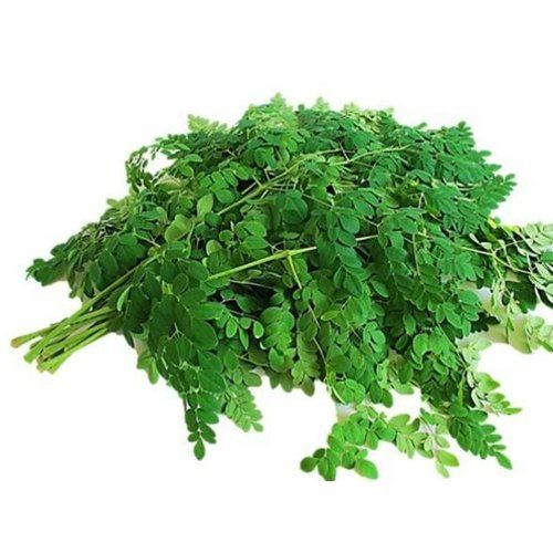 DAUN MURUNGAI / DRUMSTICK LEAVES